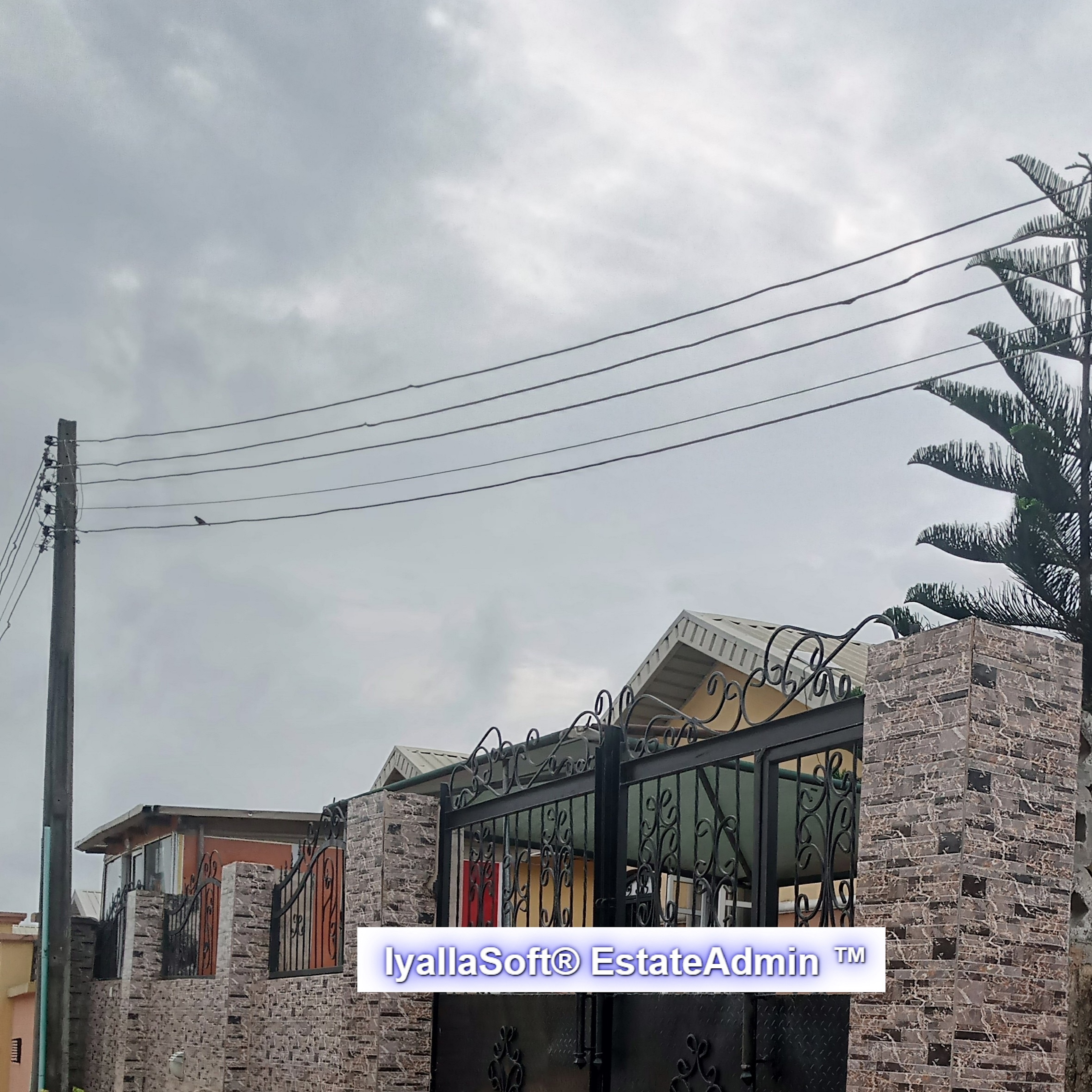 Demo Royal Gardens CDA